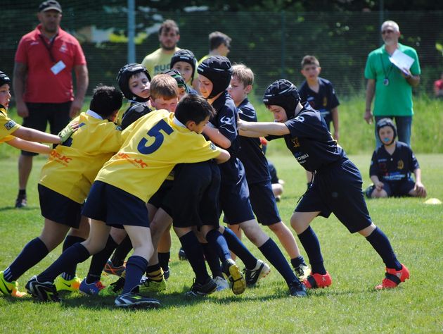 Babyellowblue in campo a Mira e Monselice