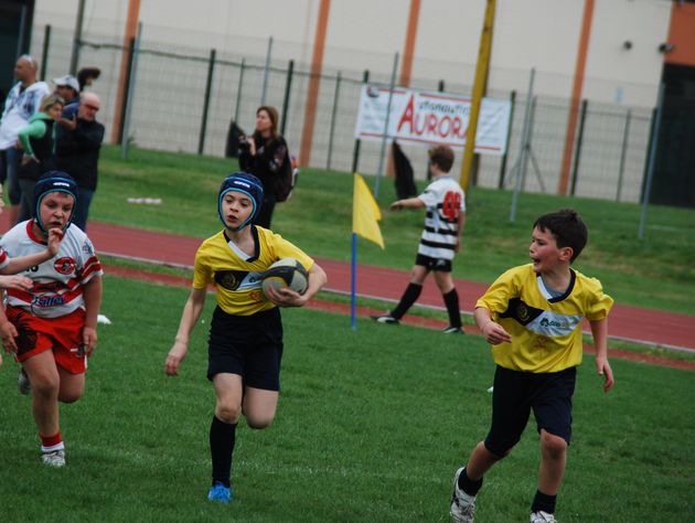 Concentramento Minirugby di Badia Polesine