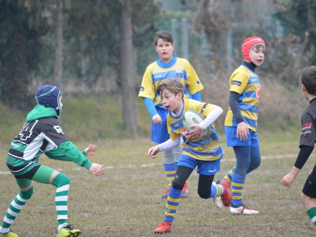 Riparte il Minirugby mentre l'Under 14 vince ancora