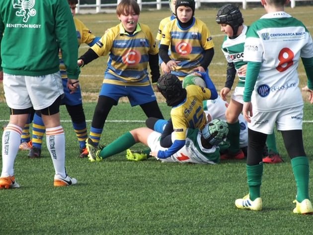 Altra bella giornata di rugby per i piccoli galletti