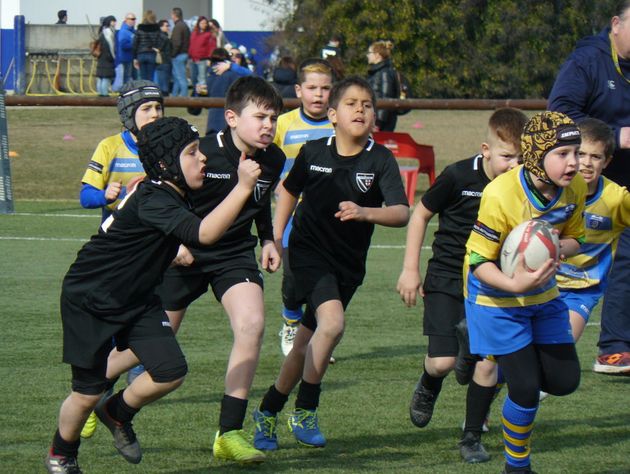 I piccoli galletti a Mogliano protagonisti di avvincenti partite