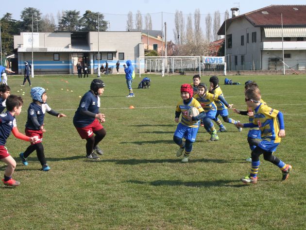 Grande festa del Rugby dei bambini a Frassinelle