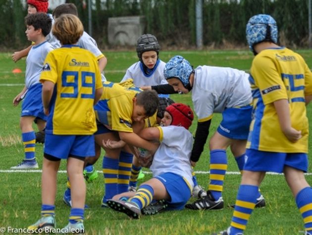 Crescono bene i galletti del Rugby Frassinelle