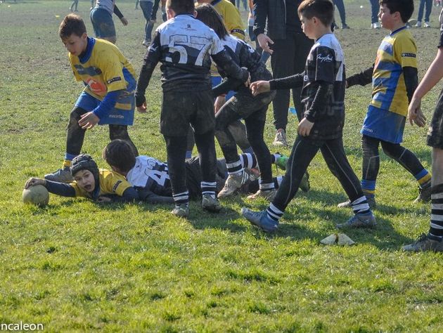 Minirugby del Frassinelle ospite della Monti a Rovigo