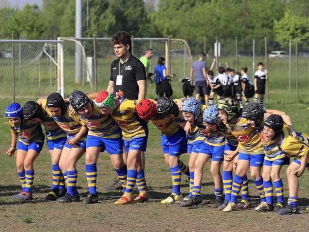 I piccoli galletti si mettono in mostra a Rubano