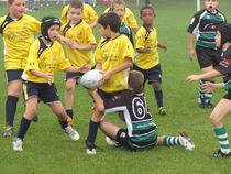 Rugby Frassinelle festeggia San Martino con un raggruppamento casalingo