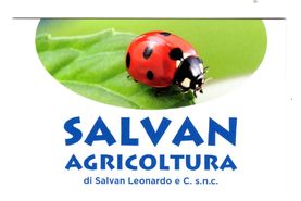 Salvan Agricoltura di Salvan Leonardo & C.